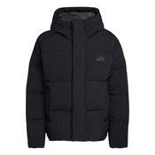 Men's Helonic Down Puffer Hooded Jacket